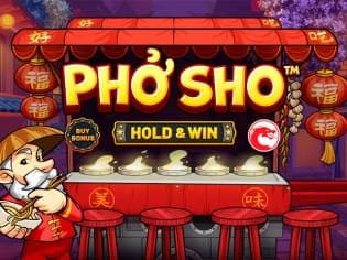 Pho Sho™ game cover